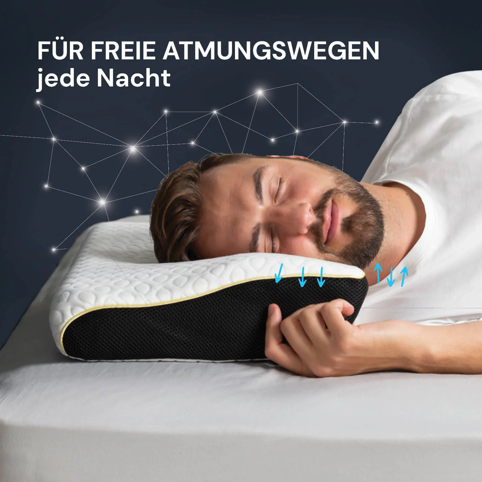 Vorschaubild 12