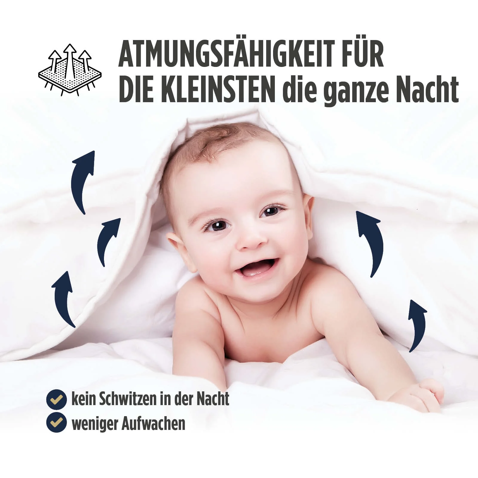 Vorschaubild 7