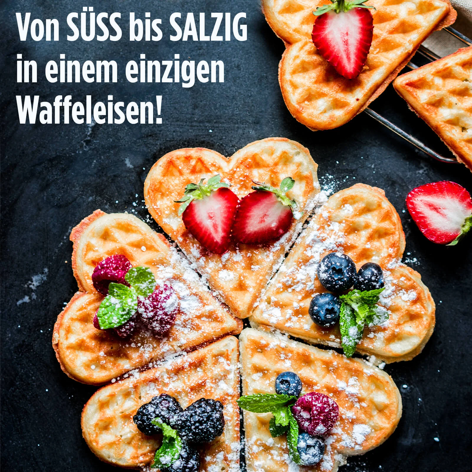 Vorschaubild 8