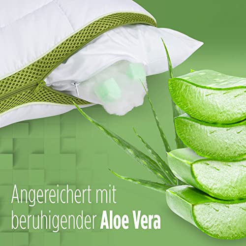 Vorschaubild 8